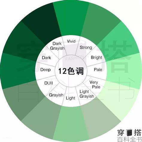 色彩學 綠色|色彩心理學（下）：心理學上，黑、白、綠代表什麼？。